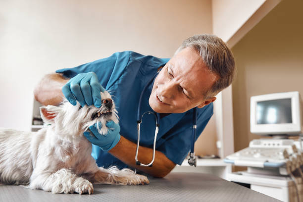 Best Emergency Tooth Extraction in Mertzon, TX