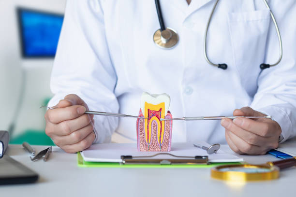 Best Cosmetic Emergency Dentistry in Mertzon, TX